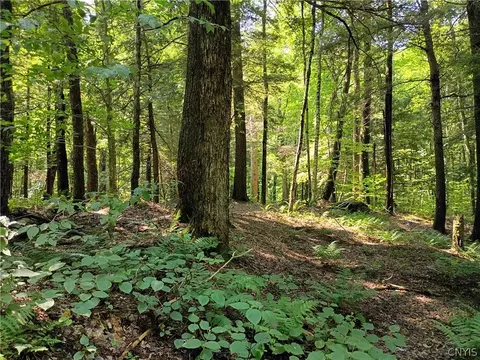 Tomahawk, Forestport, NY 13338