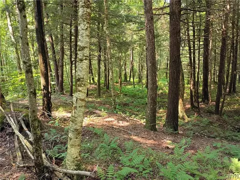 Tomahawk, Forestport, NY 13338 photo 2