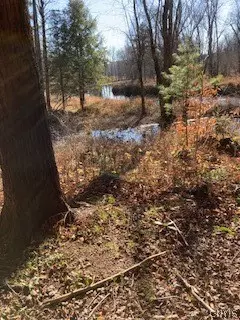13869 Middle Branch Rd, Diana, NY 13648