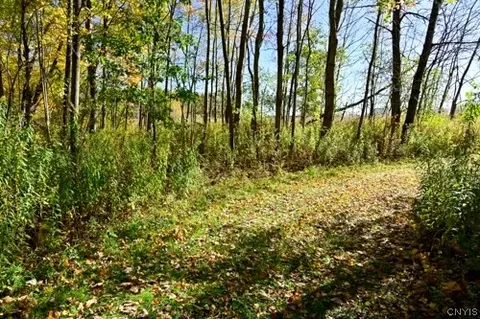 River Road, Rome, NY 13440 photo 5