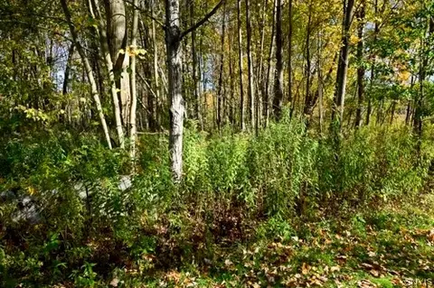 River Road, Rome, NY 13440 photo 6