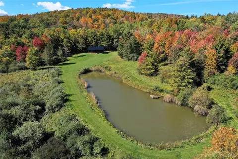 5152 Woodworth Rd, Hartsville, NY 14843