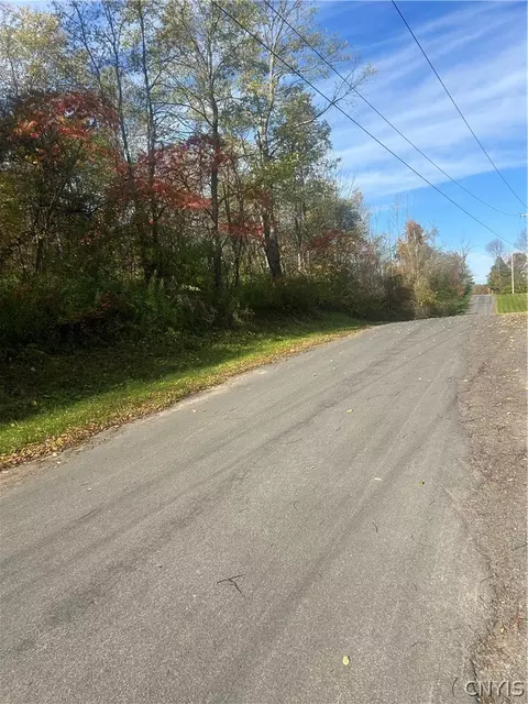 Blue Road, Deerfield, NY 13502