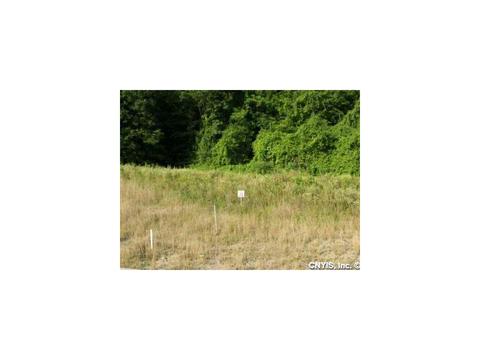 103 Jacob Ln, Sullivan, NY 13037 photo 1