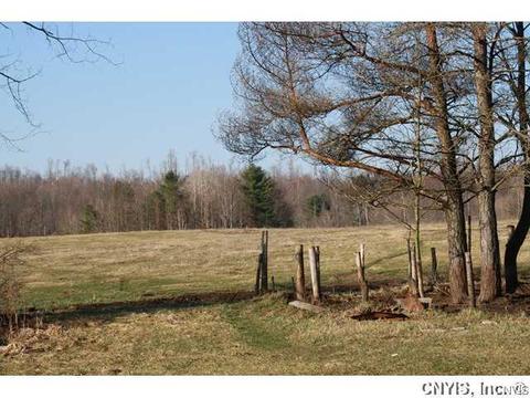 457 Garrison Rd, Pitcairn, NY 13648 photo 5