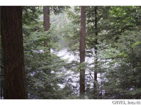 6431 E Shore Rd, Watson, NY 13343 photo 19