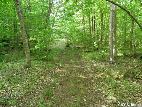 8453 N Four Rd, Watson, NY 13367 photo 15