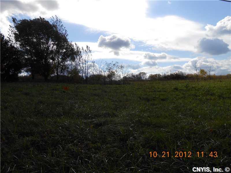 236 Seneca St, Chittenango, NY 13037 photo 1
