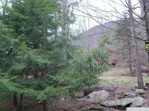 71 Hunter Ln, Hunter, NY 12442 photo 6