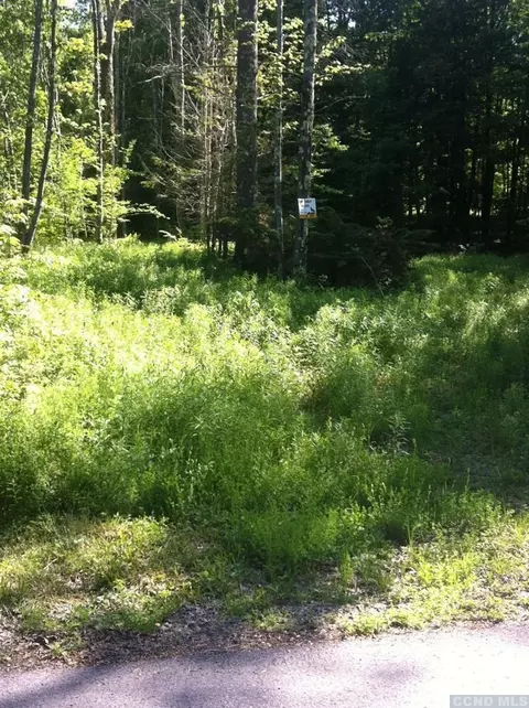 71 Hunter Ln, Hunter, NY 12442 photo 5