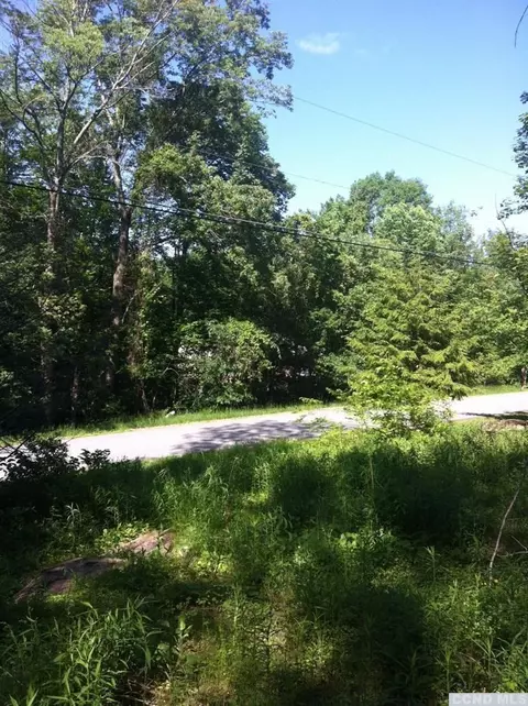 71 Hunter Ln, Hunter, NY 12442 photo 3