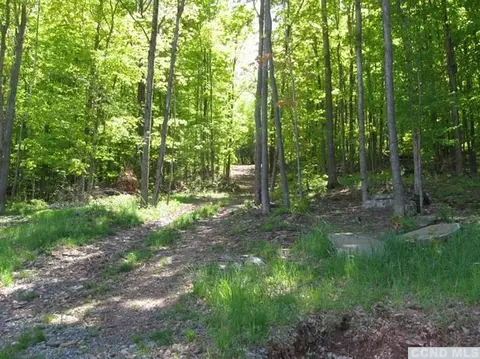 937 Cunningham Rd, Durham, NY 12422 photo 8
