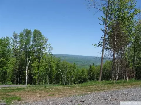 937 Cunningham Rd, Durham, NY 12422 photo 4