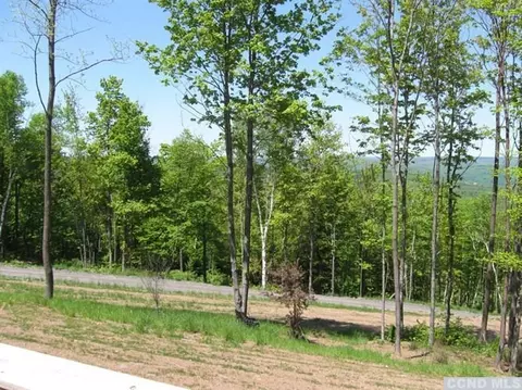 937 Cunningham Rd, Durham, NY 12422 photo 7