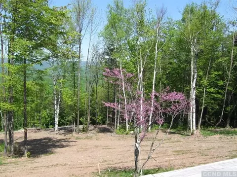 937 Cunningham Rd, Durham, NY 12422 photo 6
