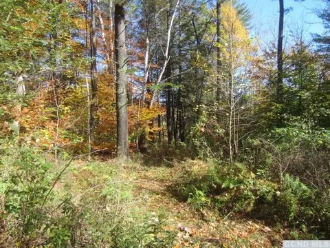 144 Route 5, Austerlitz, NY 12017 photo 4