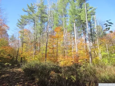144 Route 5, Austerlitz, NY 12017 photo 1