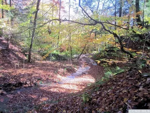 144 Route 5, Austerlitz, NY 12017 photo 3