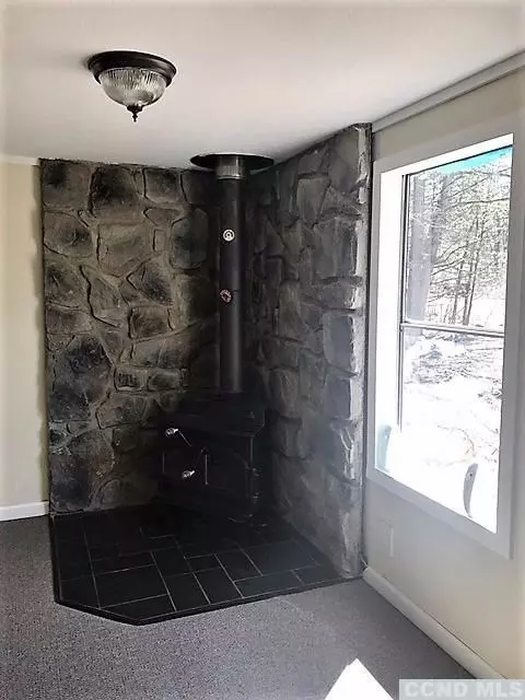 192 Maple Ave, Cairo, NY 12413 photo 9