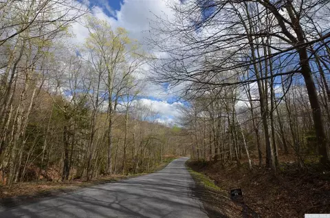 699 Scribner Holw, Hunter, NY 12442 photo 2