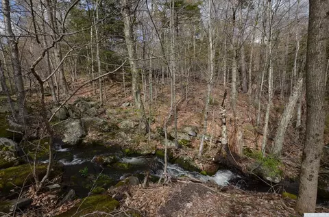 699 Scribner Holw, Hunter, NY 12442 photo 4
