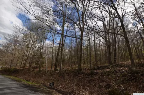 699 Scribner Holw, Hunter, NY 12442 photo 3