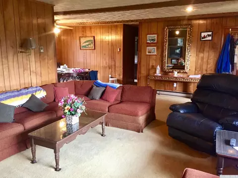 118 Nilson Dr, Ashland, NY 12407 photo 6