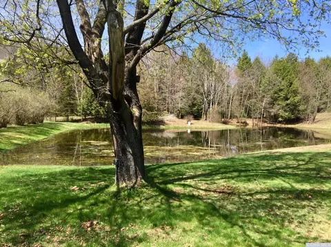 118 Nilson Dr, Ashland, NY 12407 photo 3
