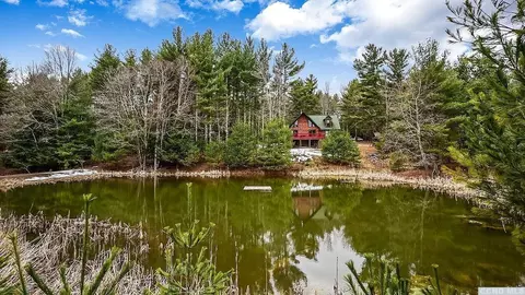 57 Pheasant Ln, Windham, NY 12496 photo 1