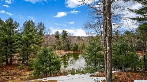57 Pheasant Ln, Windham, NY 12496 photo 2