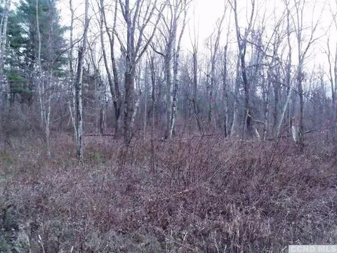 0 Lot 1 County Route 7, Copake, NY 12516 photo 3