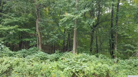 0 Lot 1 County Route 7, Copake, NY 12516 photo 4