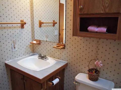 12 Mill St, Windham, NY 12496 photo 18