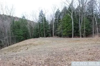208 E Hill Rd, Austerlitz, NY 12017 photo 4