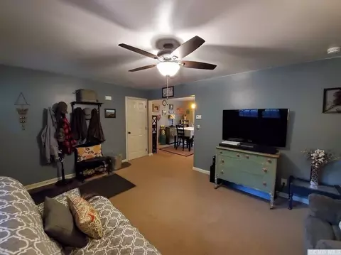 33 Pine St, Cairo, NY 12413 photo 4