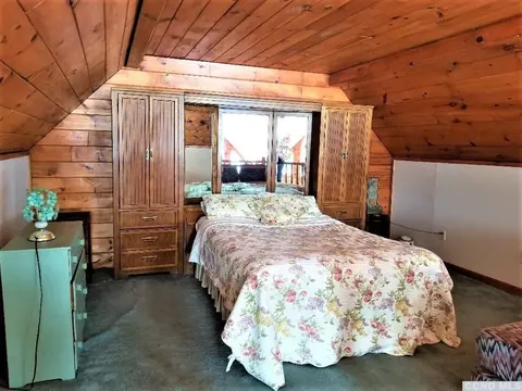 12 Mt View Estates Rd, Ashland, NY 12407 photo 30