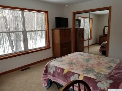 12 Mt View Estates Rd, Ashland, NY 12407 photo 46