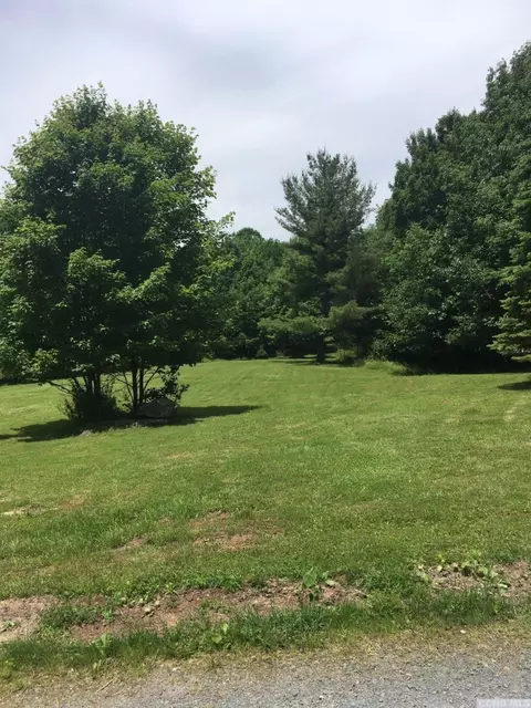 12 Mt View Estates Rd, Ashland, NY 12407 photo 69