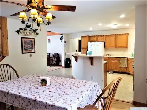 12 Mt View Estates Rd, Ashland, NY 12407 photo 25