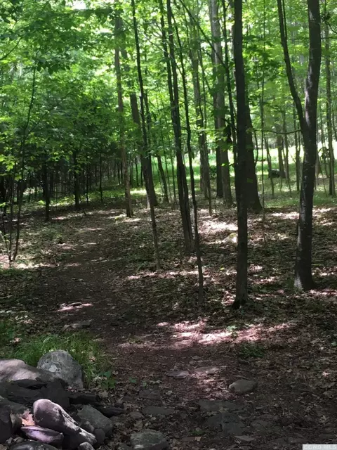 12 Mt View Estates Rd, Ashland, NY 12407 photo 66