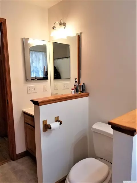 12 Mt View Estates Rd, Ashland, NY 12407 photo 38