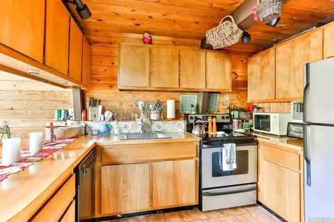 25 Pond Ln, Windham, NY 12496 photo 16