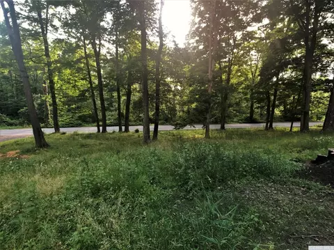 239 Holsapple Rd, Dover, NY 12522 photo 3