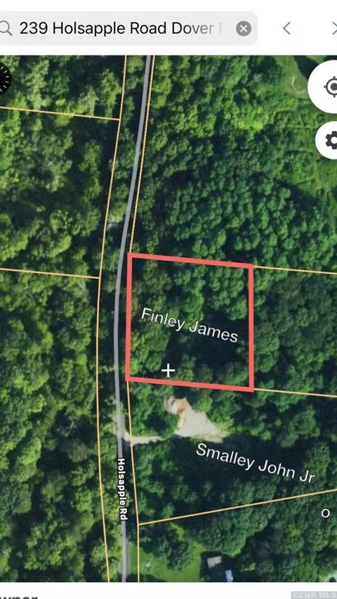 239 Holsapple Rd, Dover, NY 12522 photo 17