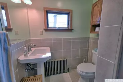 491 Main St, Cairo, NY 12413 photo 44