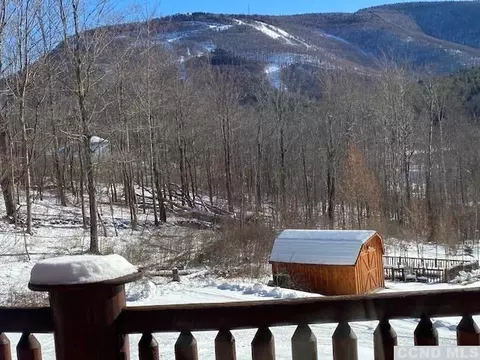 172 Wright Rd, Hunter, NY 12442 photo 32