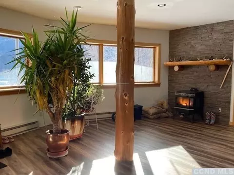 172 Wright Rd, Hunter, NY 12442 photo 26
