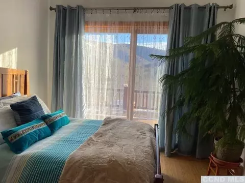 172 Wright Rd, Hunter, NY 12442 photo 17