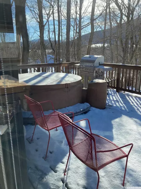 121 Thunderbird Ter, Windham, NY 12496 photo 8