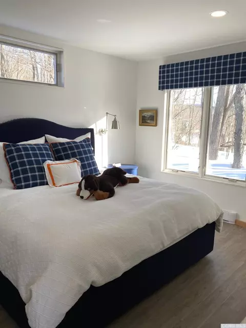 121 Thunderbird Ter, Windham, NY 12496 photo 11